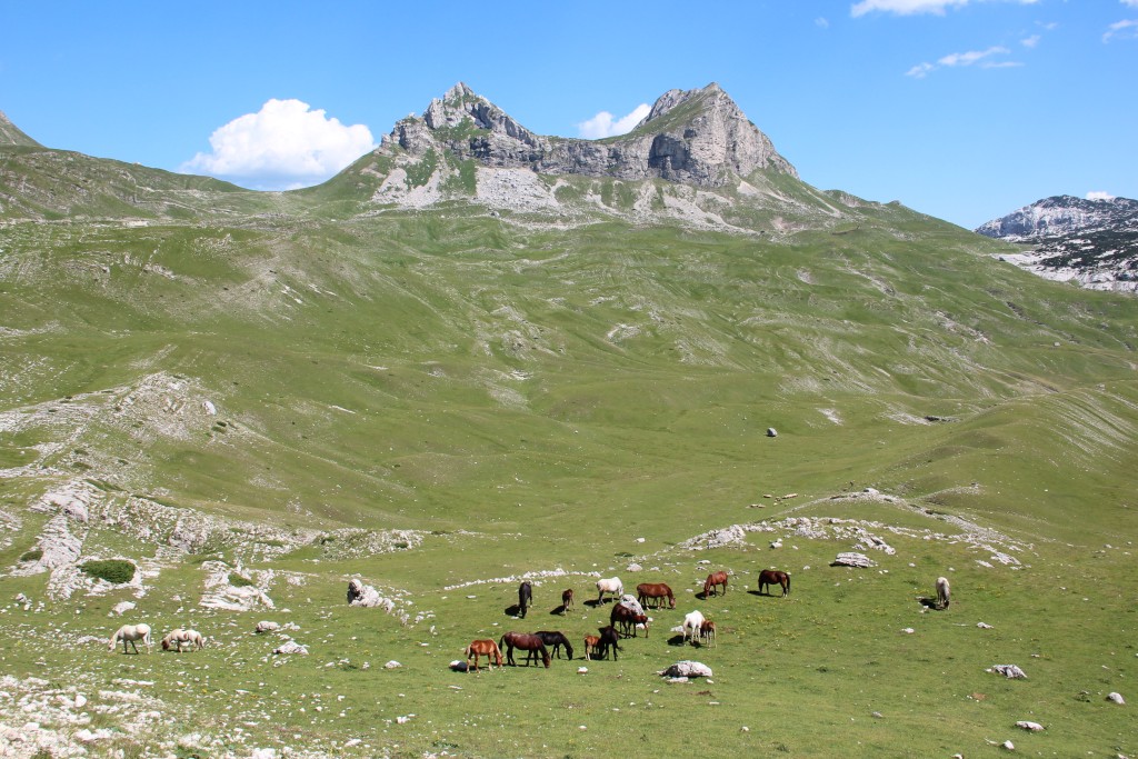 Sjedlo, Durmitor, Montenegro
