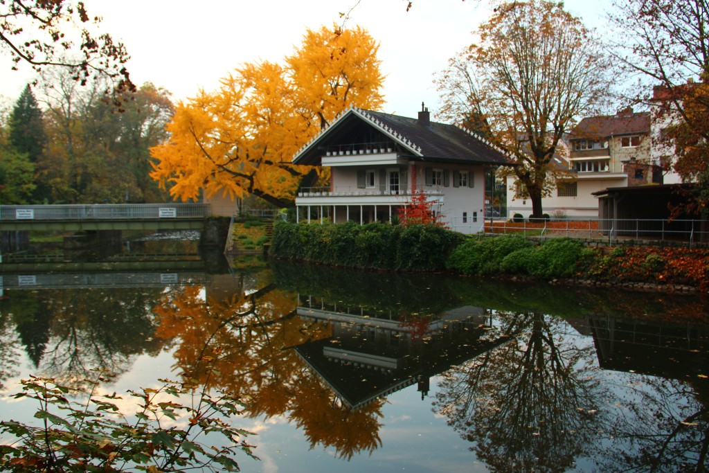Petri Haus, Frankfurt